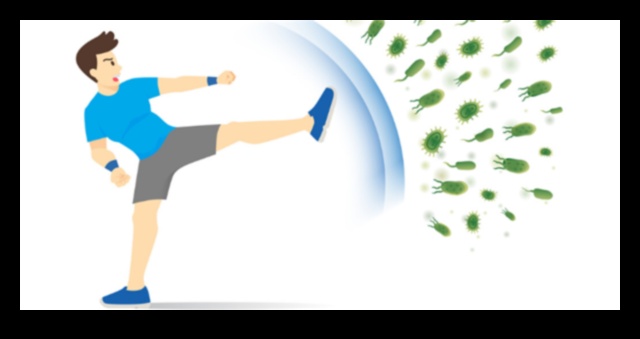 Aprinderea sistemului imunitar: cum exercițiile fizice întăresc apărările corpului tău