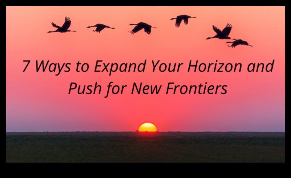 Startup Horizons Un ghid pentru explorarea noilor frontiere ale afacerilor 5 Startup Horizons: explorarea noilor frontiere ale afacerilor