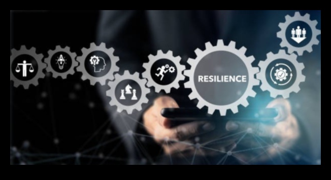 Reziliența în afaceri: prosperă în fața provocărilor evolutive