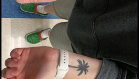 Alegorii tatuate Povești simbolice fiecine spun o plasmuire 1 Alegorii tatuate: cronici realizate în povești simbolice