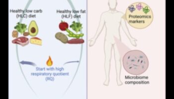 Pot dietele pe termen lung să vă transforme sănătatea și bunăstarea?