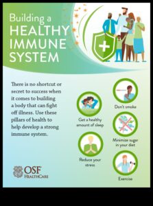 Aprinderea sistemului imunitar: cum exercițiile fizice întăresc apărările corpului tău