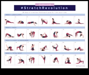 Limber Life Blueprint: Creați-vă rutina de întindere