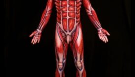 Pânza din interior: dezvăluirea potențialului artistic al corpului