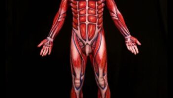 Pânza din interior: dezvăluirea potențialului artistic al corpului